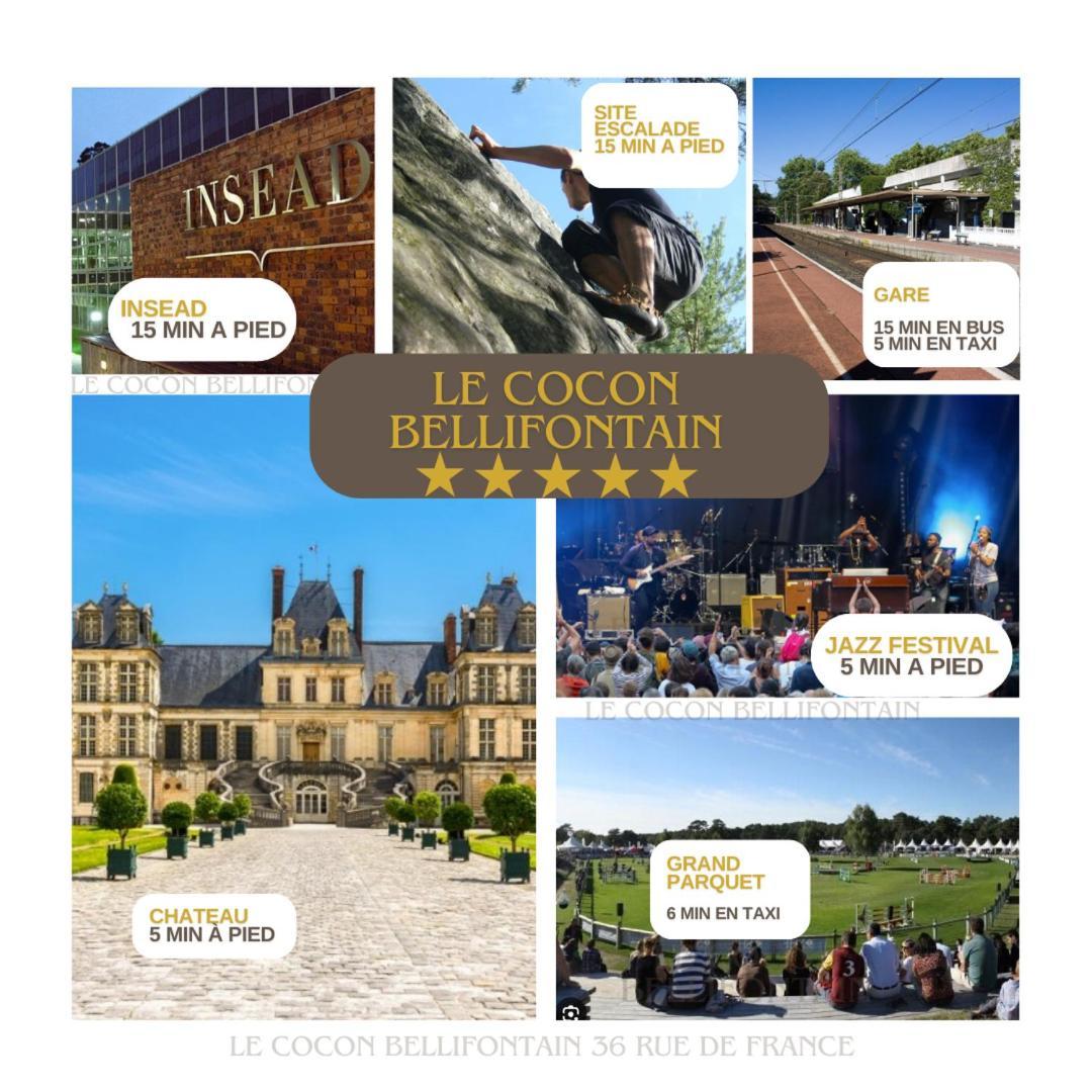 Le Cocon De Fontainebleau - Centre-Ville, Proche Insead & Chateau Eksteriør bilde