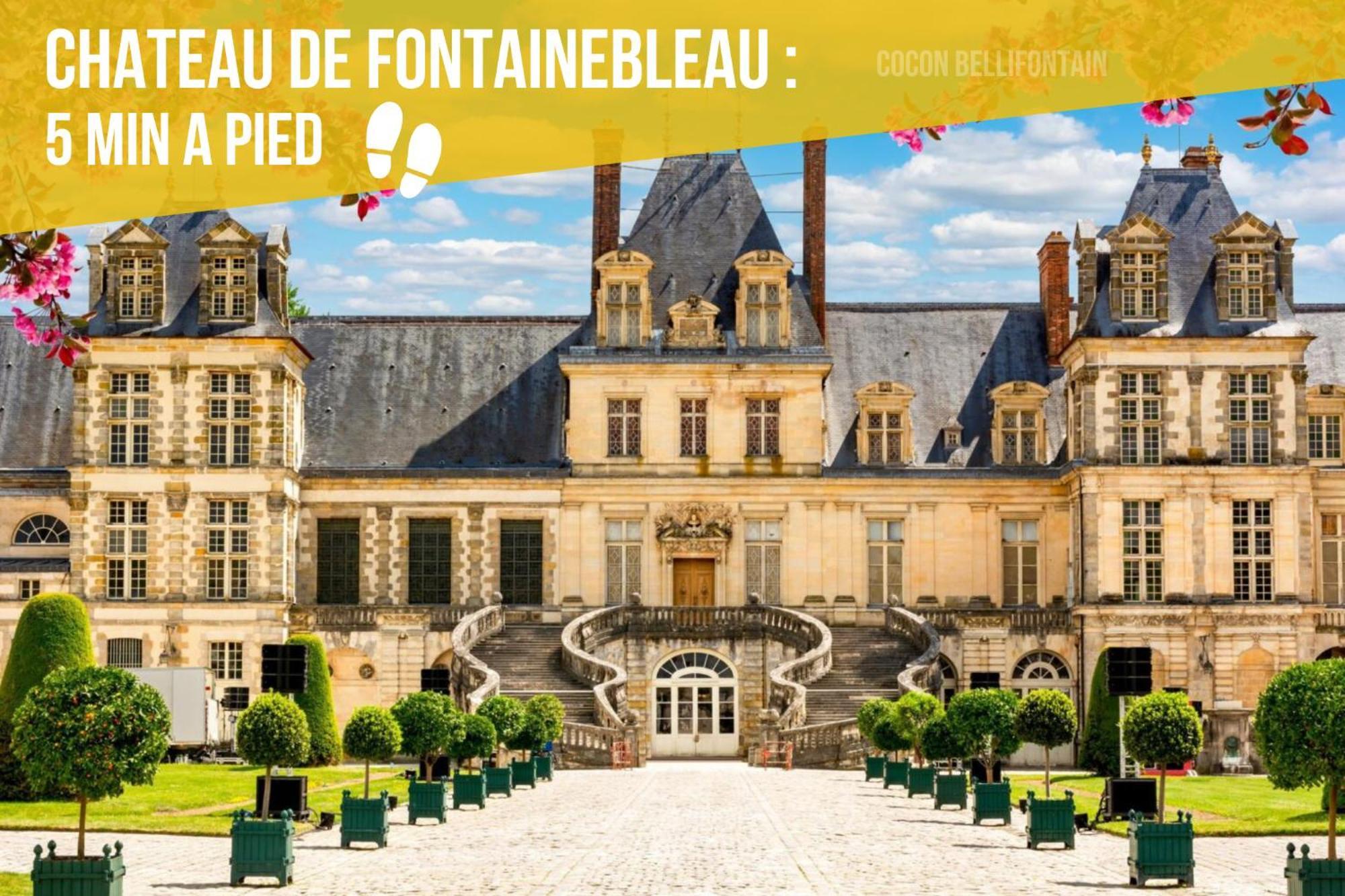 Le Cocon De Fontainebleau - Centre-Ville, Proche Insead & Chateau Eksteriør bilde
